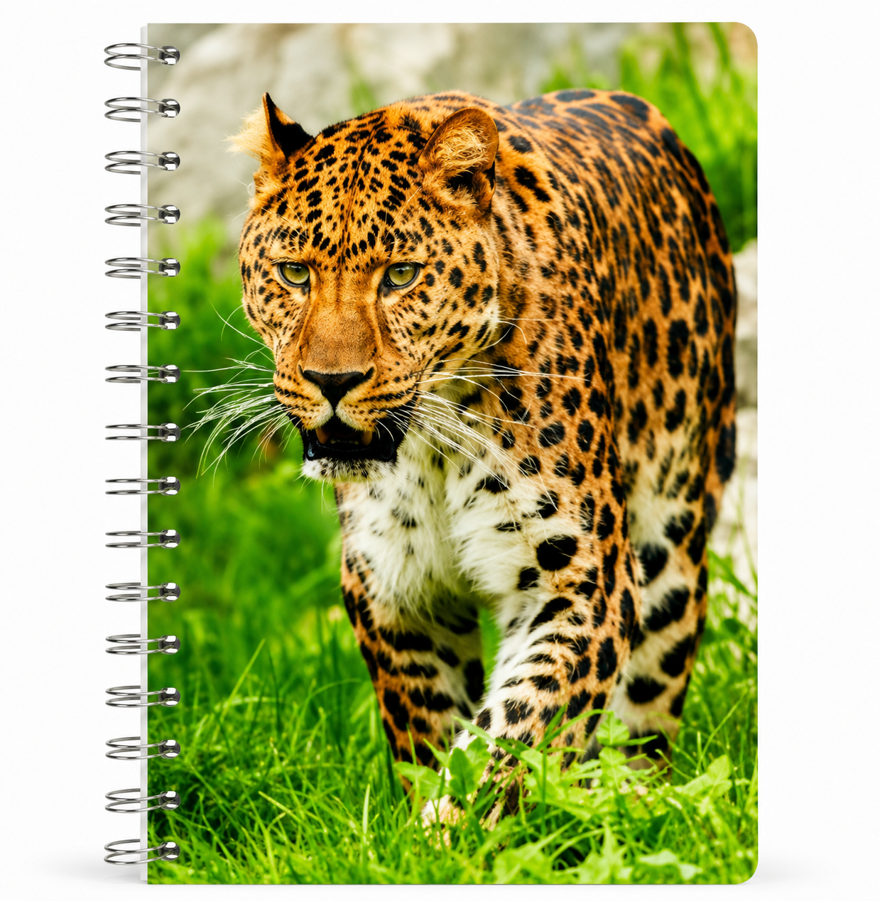 blok kroužkový 3D - Gepard