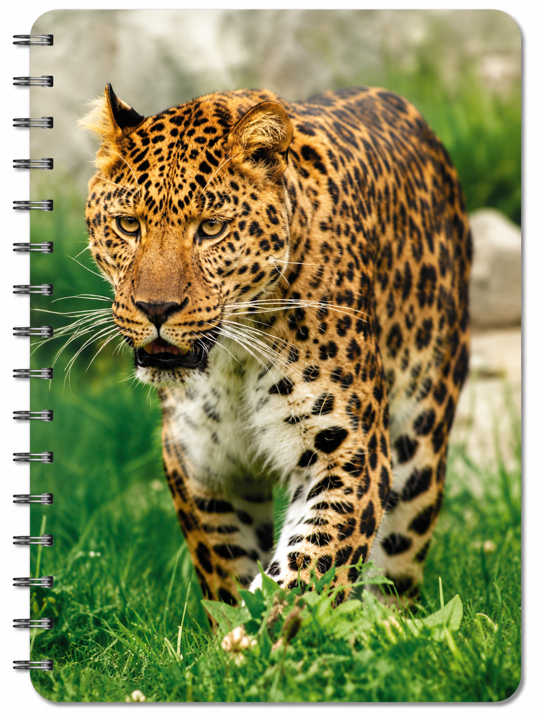 blok kroužkový 3D - Gepard