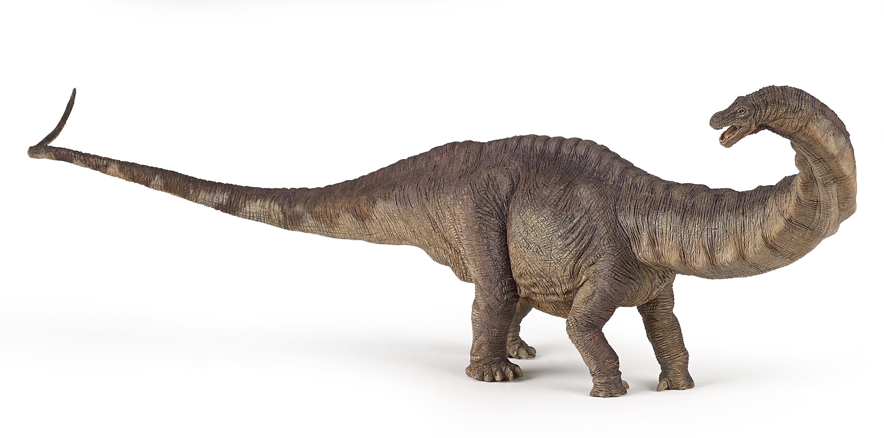 APATOSAURUS PAPO